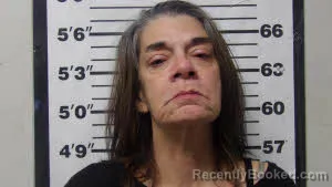 Mugshot of TARA LYNN DREHS