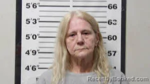 Mugshot of DEBORAH ANN HOWK