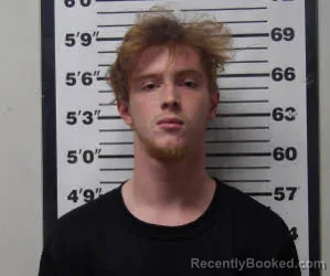 Mugshot of DAVID LEE HORRELL