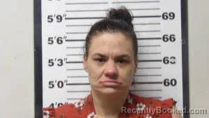 Mugshot of TEALA NICHOLE LOWERY
