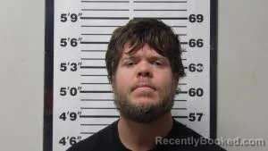 Mugshot of DAVID CHARLES MCCARTY