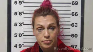 Mugshot of MEGAN MIDYETTE