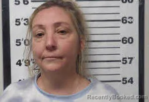 Mugshot of MEREDITH RAE MCGEHEE