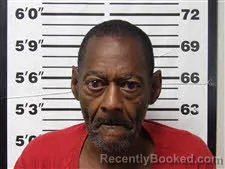 Mugshot of Robert Van Nelson booked in Carteret County, North Carolina on August 24, 2026