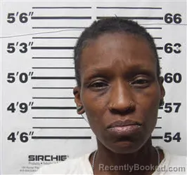 Mugshot of LAKISHA LYNNE RIDDICK booked in Carteret County, North Carolina on July 10, 2026