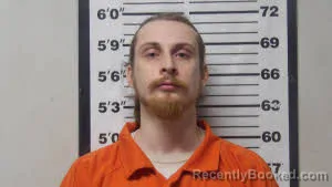 Mugshot of BRUCE MICHAEL SWANGER