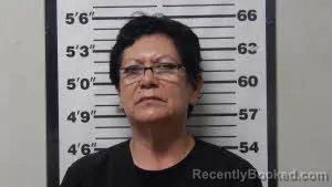 Mugshot of RHONDA ANN SKIPPER