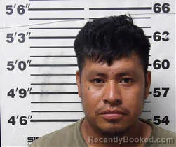 Mugshot of Miguel Tojin-Hernandez booked in Carteret County, North Carolina on August 19, 2026