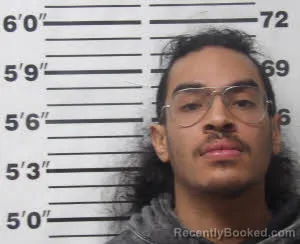 Mugshot of EDUARDO ALEXIS VIRGO