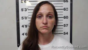 Mugshot of CYNTHIA NICOLE YUSKO