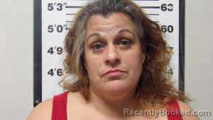 Mugshot of ERICA LOUISE ZABROSKI
