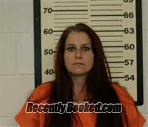 Mugshot of KRISTEN ASHLEY TERRY booked in Caswell County, North Carolina on June 8, 2026