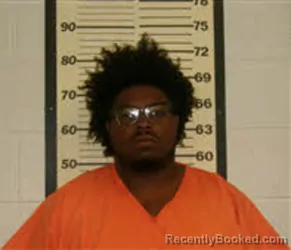 Mugshot of VLADIMIR RASHAUD PINNIX booked in Caswell County, North Carolina on March 27, 2026