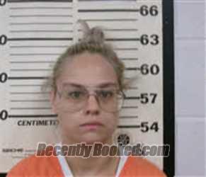 Mugshot of TERRI LYNNE WARREN booked in Caswell County, North Carolina on March 27, 2026