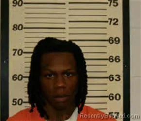 Mugshot of AMARI LASHAWN WILSON booked in Caswell County, North Carolina on June 9, 2026