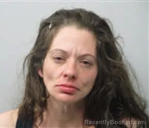 Mugshot of TINA LYNN SMITH booked in Chatham County, North Carolina on March 21, 2026