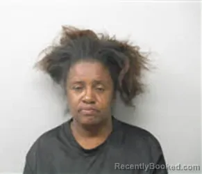 Mugshot of Sandra Marie Alston booked in Chatham County, North Carolina on August 28, 2026