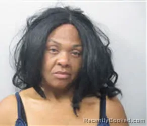 Mugshot of LASHUNDA DENISE TURRENTINE booked in Chatham County, North Carolina on June 23, 2026