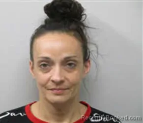 Mugshot of HEATHER NICOLE TONKIN booked in Chatham County, North Carolina on April 15, 2026