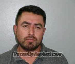 Booking photo from Chatham County, North Carolina