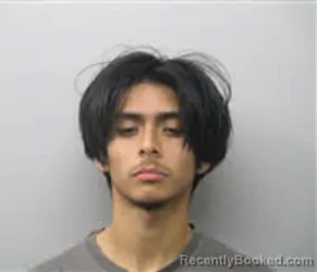 Mugshot of DENIS ALEXANDER ALFARO booked in Chatham County, North Carolina on July 15, 2026