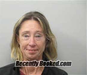 Mugshot of MICHELLE LEE VROMAN booked in Chatham County, North Carolina on July 21, 2026