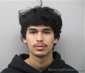 Mugshot of BRYAN LIZANDRA MARTINEZ-SAUCEDA booked in Chatham County, North Carolina on March 20, 2026