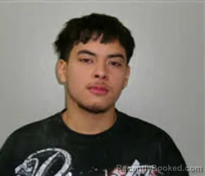 Mugshot of ALEXANDER GOMEZ-HINOJOSA booked in Chatham County, North Carolina on March 28, 2026