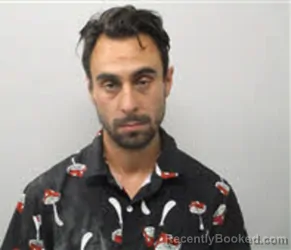 Mugshot of HARRY CHRISTIAN KAI RATTELMAN booked in Chatham County, North Carolina on March 31, 2026