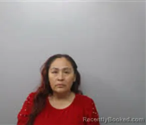 Mugshot of LITA BEATRIZ RODRIGUEZ GOMEZ booked in Chatham County, North Carolina on April 27, 2026
