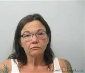Mugshot of MICHELLE LYNN FRITZ booked in Chatham County, North Carolina on May 20, 2026