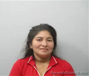 Mugshot of Edith Paola Sierra Fuentes booked in Chatham County, North Carolina on August 18, 2026
