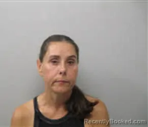 Mugshot of Terri Kay Stong booked in Chatham County, North Carolina on August 23, 2026