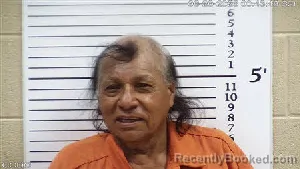 Mugshot of David Hernandez Antonio booked in Cherokee County, North Carolina on June 20, 2026