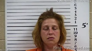 Mugshot of Lavina Jo Alvis booked in Cherokee County, North Carolina on September 6, 2026