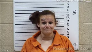 Mugshot of Stephanie Marie Ashe booked in Cherokee County, North Carolina on October 7, 2026