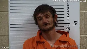 Mugshot of Braxton Brantley-Bastain Burson booked in Cherokee County, North Carolina on August 17, 2026