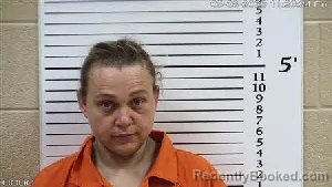 Mugshot of Jessica Rena Brown booked in Cherokee County, North Carolina on May 8, 2026