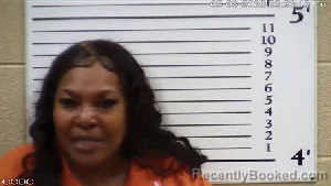 Mugshot of Sherrie Ann Bland booked in Cherokee County, North Carolina on May 8, 2026