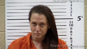 Mugshot of KRISTI MICHELLE COLLINS booked in Cherokee County, North Carolina on May 4, 2026