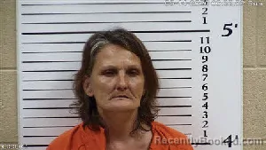 Mugshot of LISA Michelle CARROLL booked in Cherokee County, North Carolina on June 14, 2026