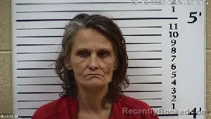 Mugshot of Lisa Michelle Carroll booked in Cherokee County, North Carolina on August 13, 2026