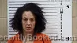 Mugshot of Renae MICHELLE COOK booked in Cherokee County, North Carolina on March 23, 2026