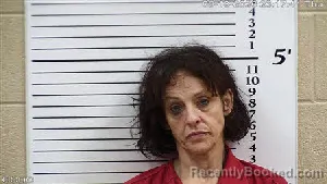 Mugshot of Renae MICHELLE COOK booked in Cherokee County, North Carolina on June 18, 2026