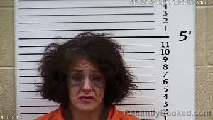 Mugshot of Renae MICHELLE COOK booked in Cherokee County, North Carolina on June 29, 2026