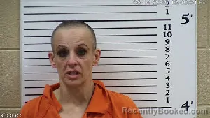 Mugshot of Renae Michelle Cook booked in Cherokee County, North Carolina on August 14, 2026