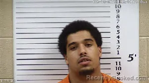Mugshot of Tavion Christian Charles booked in Cherokee County, North Carolina on August 15, 2026