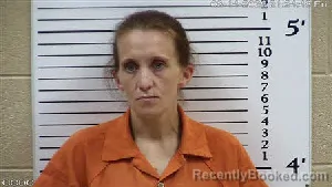 Mugshot of Veronica Allison Crisp booked in Cherokee County, North Carolina on August 14, 2026