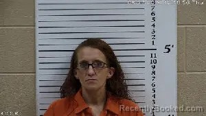 Mugshot of Veronica Allison Crisp booked in Cherokee County, North Carolina on August 27, 2026