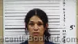 Mugshot of Elizabeth Amelia Diaz booked in Cherokee County, North Carolina on March 18, 2026